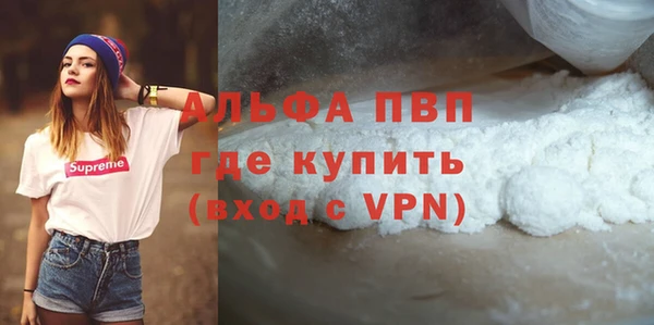 PSILOCYBIN Корсаков
