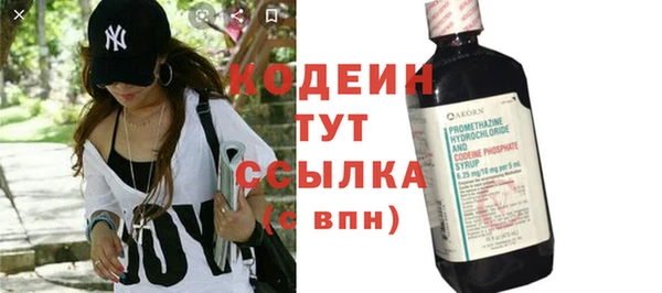 индика Кукмор