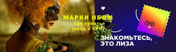 индика Кукмор