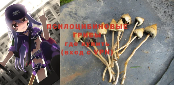 сатива Краснотурьинск