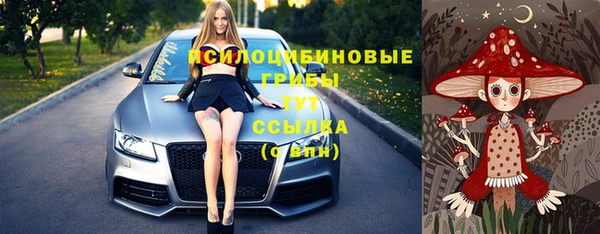 сатива Краснотурьинск