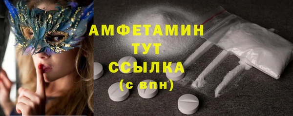 дмт Гатчина