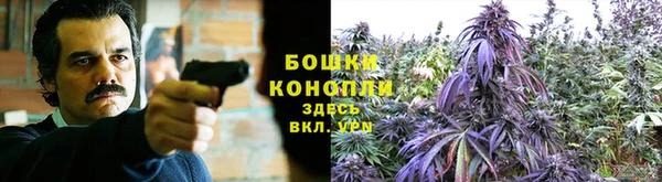 дмт Гатчина