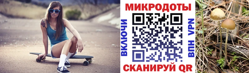 shop формула  Кудымкар  Псилоцибиновые грибы Psilocybine cubensis 
