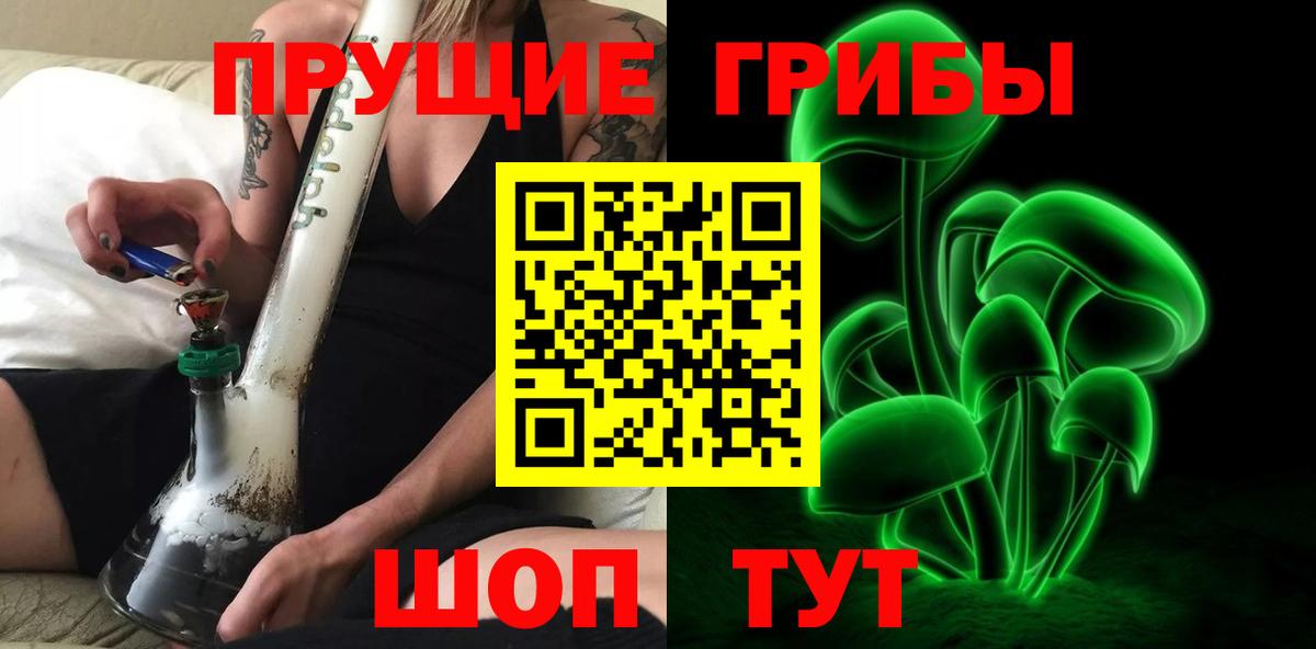 Галлюциногенные грибы Psilocybine cubensis Кудымкар